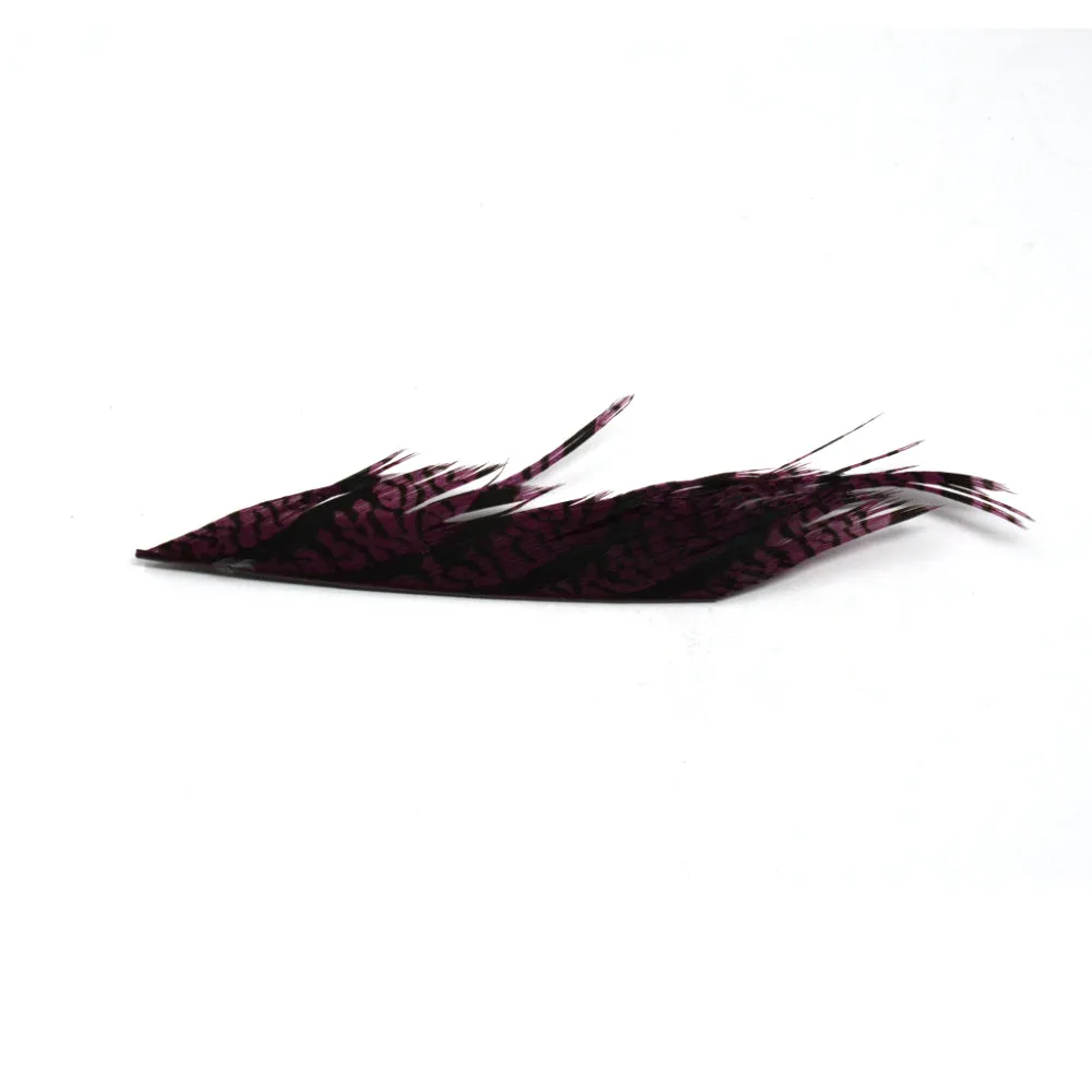 Lady Amherst Peasant Tail Sections
